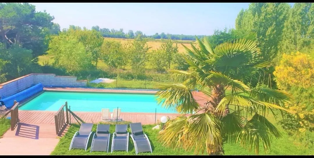 Maison Standing 260M2 Veranda Piscine Jardin 2700M2 Vue Campagne Lherm  0*, Lherm (Haute-Garonne)